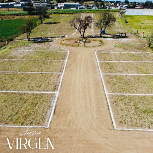 Lotes Tierra Virgen