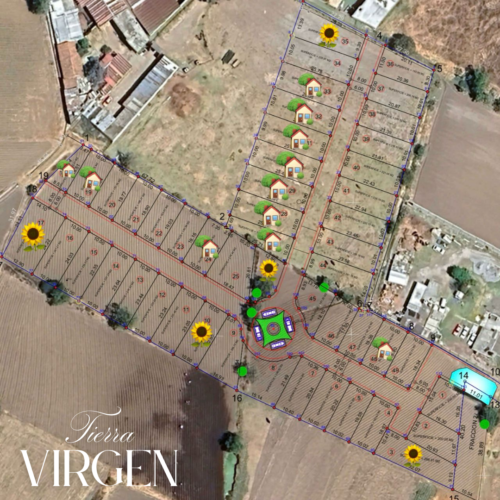 Lotes Tierra Virgen - Image 4