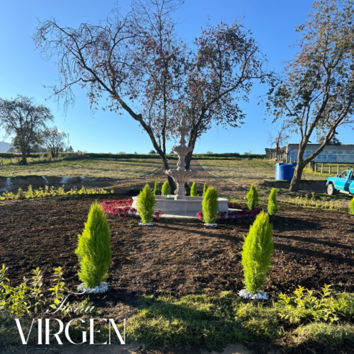 Lotes Tierra Virgen - Image 3