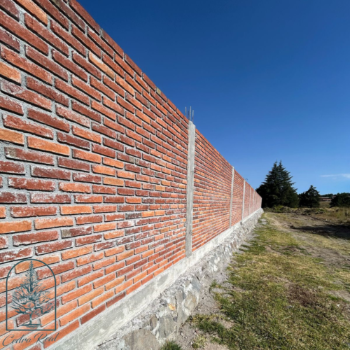 Lotes Cedro Real - Image 3