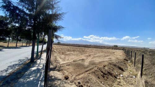 Lote Calimaya
