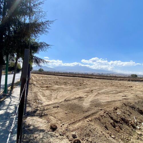 Lote Calimaya