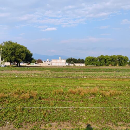 Lote San Lucas Tunco, Metepec
