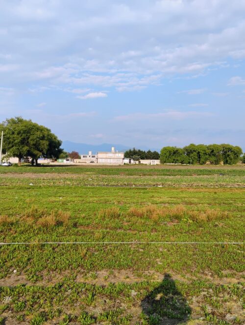 Lote San Lucas Tunco, Metepec